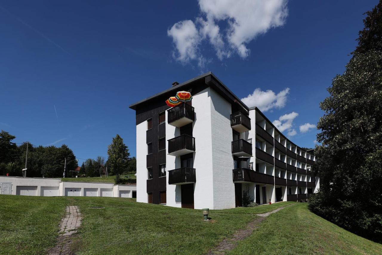 Les Xettes - Appartement Vue Montagne Gerardmer Exterior photo